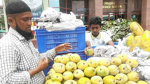আগাম আম দামে বেশি স্বাদে কম, কিন্তু ধ্বংস কেন?