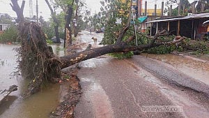 ঘূর্ণিদুর্গত পটুয়াখালীতে প্রধানমন্ত্রী