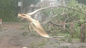 রেমালের তাণ্ডব: শরীয়তপুরে বিদ্যুৎ বিচ্ছিন্ন সাড়ে ৪ লাখ মানুষ