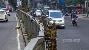 Trees dying on Dhaka’s roads