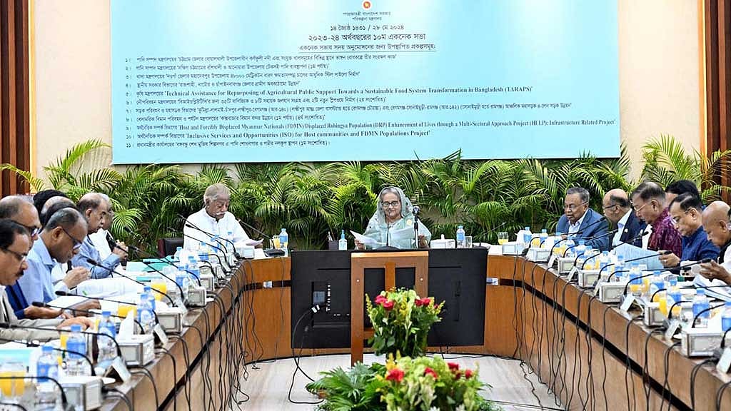 এককে সভায় সভাপতিত্ব করেন প্রধানমন্ত্রী শেখ হাসিনা। ছবি: পিআইডি