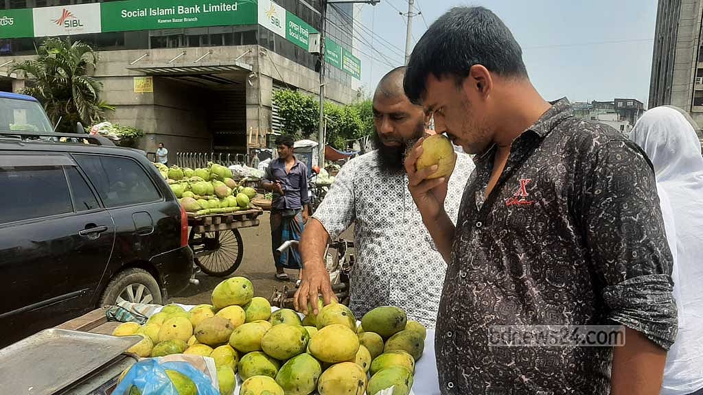 ঘ্রাণ শুঁকে আমের পরিপক্বতা বোঝার চেষ্টায় ক্রেতা হুমায়ুন কবির