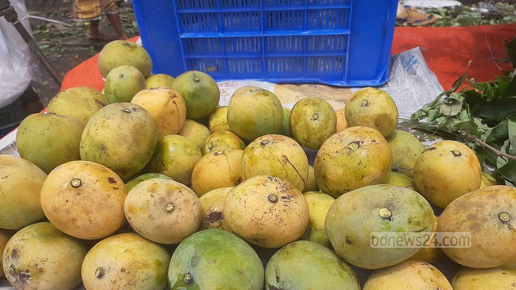 ক্রেতা-বিক্রেতা দুই পক্ষই জানেন আগাম এই আমের স্বাদ খুব একটা ভালো না। তবু তা বিক্রি হচ্ছে ভালোই