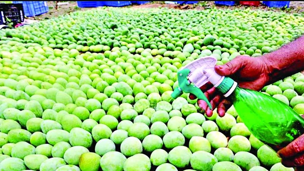 ফল পাকাতে সাধারণত ইথোফেন নামে এক ধরনের হরমোন ব্যবহার করা হয়। একাধিক বিশেষজ্ঞ বলেছেন, স্প্রে করে এই হরমোন ব্যবহার নিরাপদ। তবে ভ্রাম্যমাণ আদালত নানা সময় এই হরমোন ব্যবহার করায় ব্যবস্থা নিয়ে থাকে