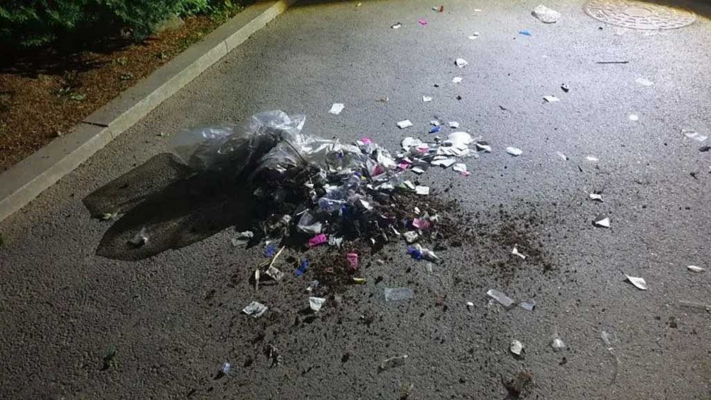 উত্তর কোরিয়া থেকে উড়ে আসা আবর্জনা ভর্তি গ্যাস বেলুনে নানা ধরণের বর্জ্য রয়েছে। ছবি: দক্ষিণ কোরিয়ার সামরিক বাহিনী