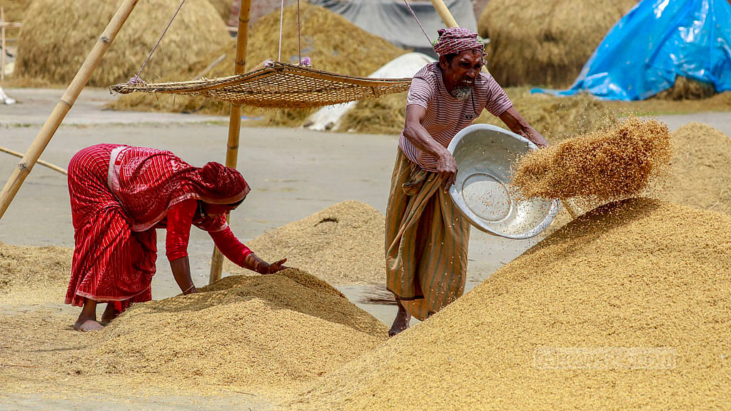 Many farmers have already sold their crops, but many others are storing the produce in hopes of getting a better price.