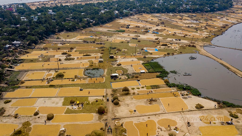 Humayunpur in Kishoreganj’s Bajitpur Upazila has a large stretch of Haor land. After reaping, paddy threshing work is underway on a bit of raised land in the Haor area. A distant golden glow of paddy can still be seen on the edges of one’s vision.