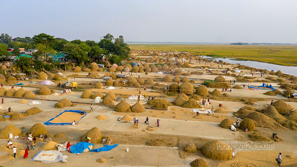 The residents of the Haor area are devoted to the massive work of harvesting paddy. The threshing of crops is underway throughout the day as farmers rush to store the produce at granaries before the rain comes down and the water rises.
