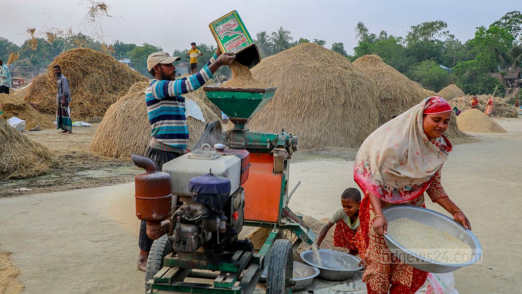 Many farmers complete paddy husking work by bringing a machine from home to store the staple before the Haor starts getting to flood.