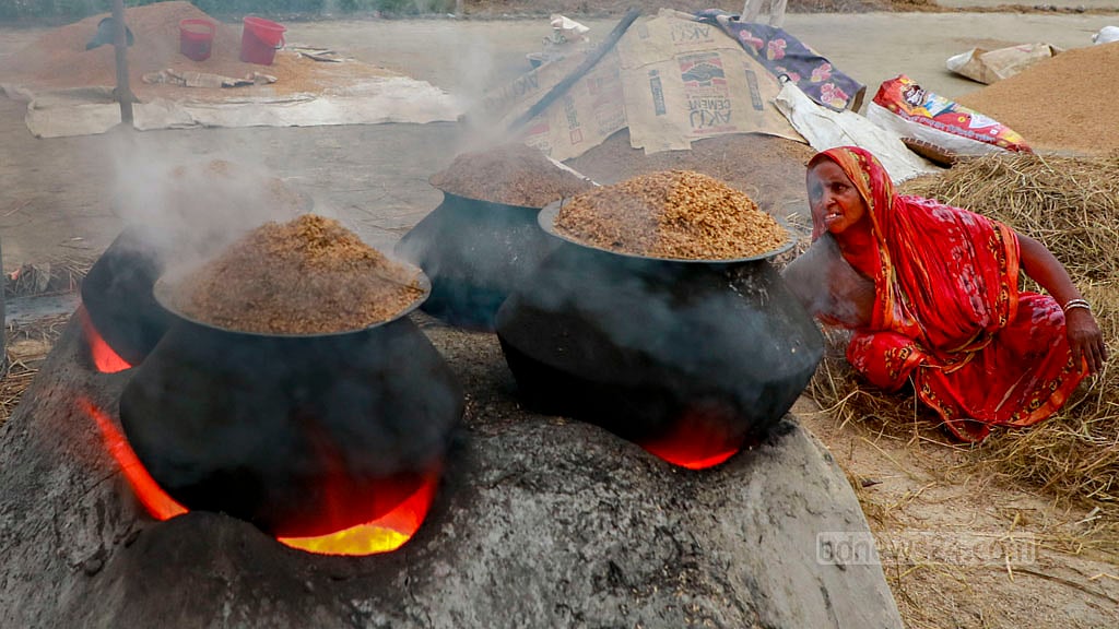 After the threshing is complete, women parboil the rice.