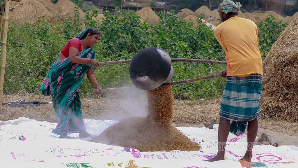 A couple removes rice from an oven after parboiling.