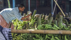 কলা পাকাতে কার্বাইডেই ভরসা?