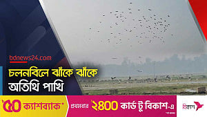 পরিযায়ী পাখির নিরাপত্তা নিশ্চিতের দাবি