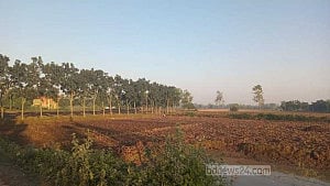 পঞ্চগড়ের তাপমাত্রা নেমেছে ১২.২ ডিগ্রিতে