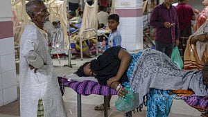 Dengue patients at hospitals year-round