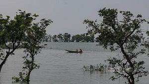 Fishing at Tanguar Haor