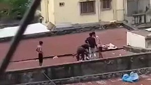ভাইরাল ভিডিওটি ‘প্রকাশ্যে জবাইয়ের’ নয়