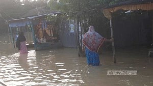 ‘কইনছেন দেহি, এইবায় কি আর বাঁচন যায়’