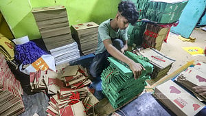 Use of paper bags on the rise