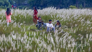 Autumn brings Kashful to Sarighat