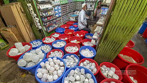 কম দামে এলইডি বাতির সমাহার