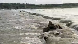পাকিস্তানে হড়কা বানে ৫ মৃত্যু