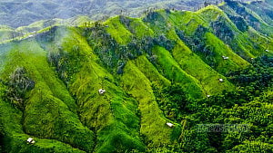 Jhum farming in hill areas
