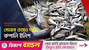 বৈশাখে ইলিশের চাহিদা তুঙ্গে, সরবরাহ কম বরিশালে