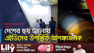 শুষ্ক ঢাকাতেও মিলছে লার্ভা, ডেঙ্গু পরিস্থিতি ভয়াবহ হওয়ার শঙ্কা
