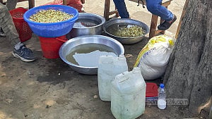 Cooking with pond water at Suhrawardy Udyan