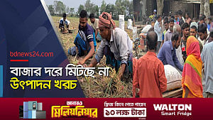বাম্পার ফলনেও স্বস্তিতে নেই ফরিদপুরের পেঁয়াজ চাষিরা