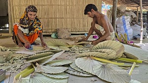 হাতপাখায় জীবিকা