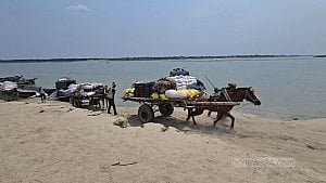 চরের ভরসা ঘোড়ার গাড়ি
