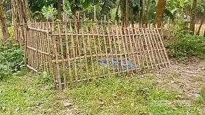 ছাত্র আন্দোলনে নিহত জামালপুরের রিপনের লাশ উত্তোলনে বাধা