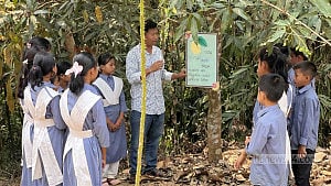বিন্দু বিদ্যানিকেতন: প্রকৃতির কোলে আনন্দের পাঠ