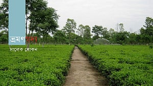 গড়ের পাথরে লেখা রাজপুরাণ