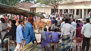 Market on Lalmonirhat school playground disrupts learning