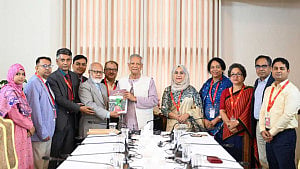 Local govt reform panel submits final report