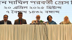 Commission proposes councils without chairmen for local govt
