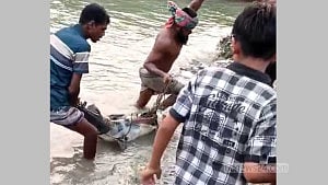 ‘শখে’ জাল ফেলে উঠল ৩০ কেজির বাঘাইড়, বিক্রি ৩৫ হাজারে