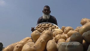 হিমাগারে আলুর দাম কেজিতে ২২ টাকা বেঁধে দিল সরকার