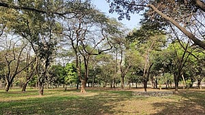 Feeling angry? Dhaka's newest park promises a cure