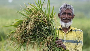 ভালো ফলন, খুশি কৃষক