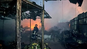 Shahbagh flower market fire tamed, 5 burnt