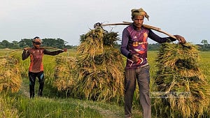 সাময়িক হিসাবে জিডিপি প্রবৃদ্ধি ৪.১৪%, মাথাপিছু আয় ৩০০০ ডলার ছাড়াল