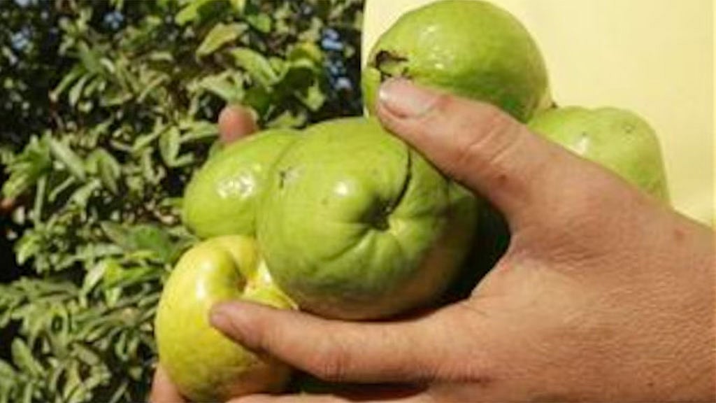 ছবি: রয়টার্স।