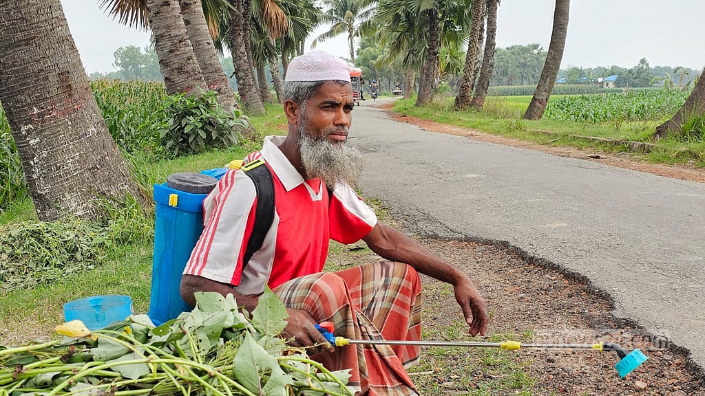 লোকসানে থাকা নাটোরের চাষিরা বলছেন, এক বিঘা জমিতে পেঁয়াজ চাষে ৬০ থেকে ৭০ হাজার টাকা খরচ হয়। 