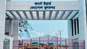 আমদানি খরচ বৃদ্ধি: বেনাপোল দিয়ে মাছ আমদানি বন্ধ