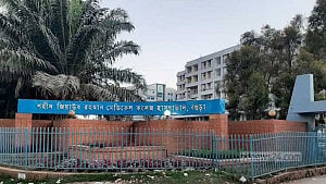 বগুড়ায় সড়কে ঝরল ২ সহোদরের প্রাণ
