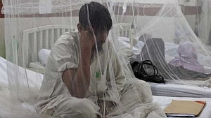 ডেঙ্গুতে আরও ৪ মৃত্যু, সর্বোচ্চ রোগী ভর্তি